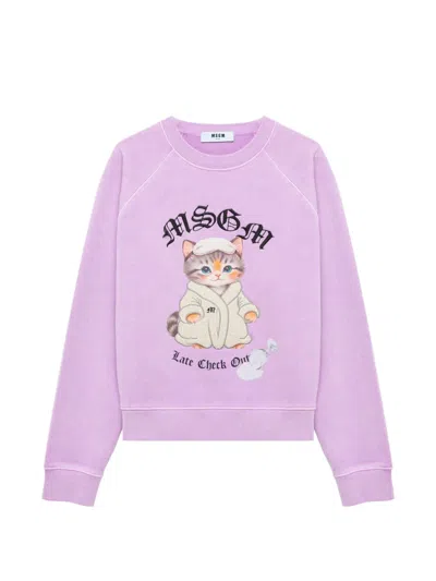 Msgm Cat-print Raglan-sleeve Sweater In Purple