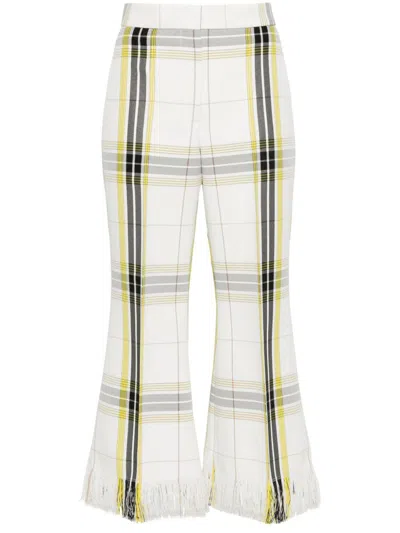Msgm Check Pants
