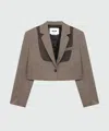 Msgm Check-pattern Cropped Jacket In Brown