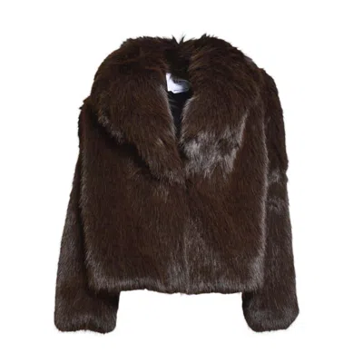 Msgm Coats In Brown