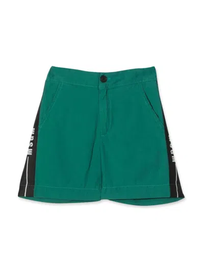 Msgm Kids' Cotton Bermuda In Green