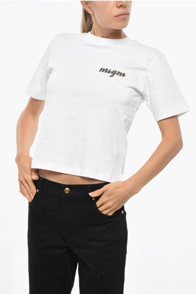 Msgm Cotton Crew-neck T-shirt With Print Logo In White
