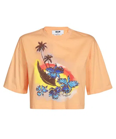 Msgm Cotton Crop Top In Pink