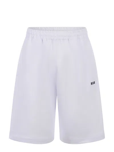 Msgm Cotton Fleece Shorts In Bianco
