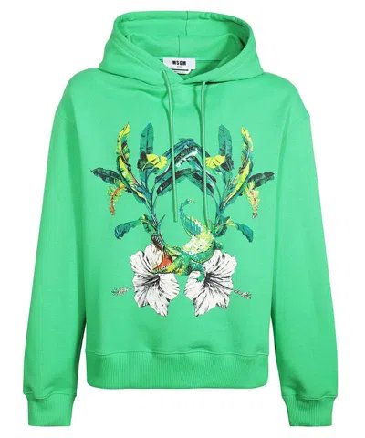 Msgm Cotton Hoodie In Green