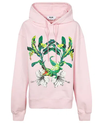 Msgm Cotton Hoodie In Pink