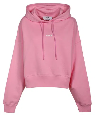 Msgm Cotton Hoodie In Pink