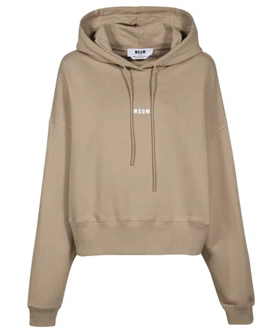 Msgm Cotton Hoodie In Sand