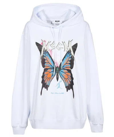 Msgm Cotton Hoodie In Multi