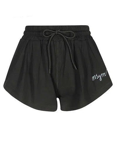 Msgm Cotton Shorts In Black