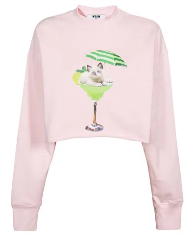 Msgm Cotton Sweatshirt In Pink