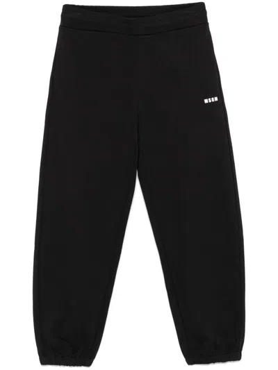 Msgm Cotton T-shirt With Front Printed Logo In Black