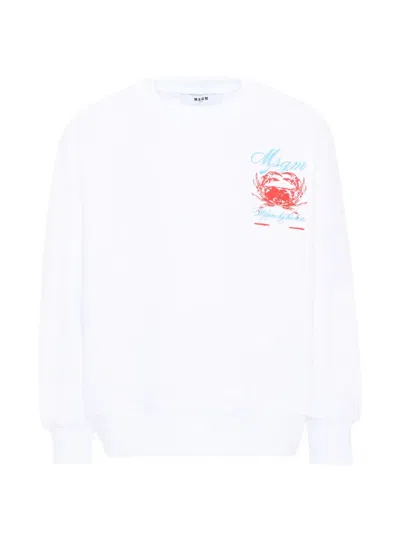 Msgm Kids' Crab-print Sweatshirt In Multi