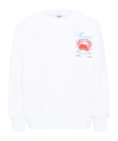 Msgm Kids' Crab-print Sweatshirt In White