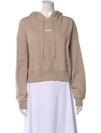Pre-owned Msgm Crew Neck Long Sleeve Hoodie In Neutral