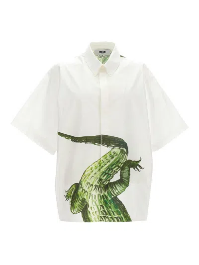 MSGM CROCODILE SHIRT