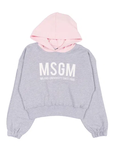 Msgm Kids'  Cropped Hoodie Girl In Gray