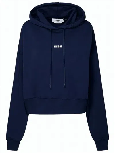 Msgm Cropped Hoodie With Logo Detail In Black