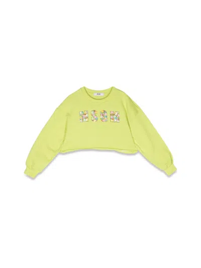 Msgm Kids' Cropped Sweatshirt In Yellow