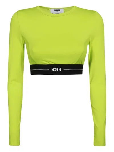 Msgm Cropped T-shirt In Grün
