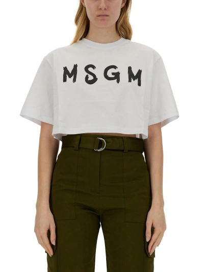 Msgm Cropped T-shirt In White