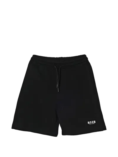 Msgm Drawstring Logo Shorts In Black