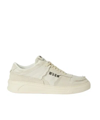 Msgm Fantastic Green Leather Sneakers In White