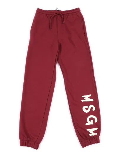 Msgm Fleece Pants Unisex In Burgundy
