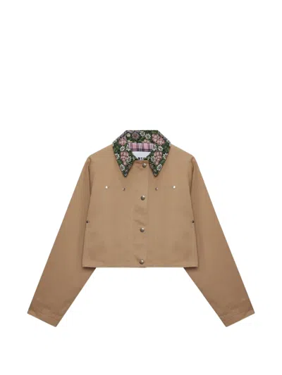 Msgm Floral-collar Cropped Jacket In Brown