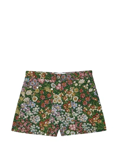 Msgm Floral Print Shorts In Green