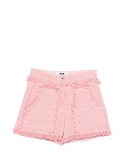 Msgm Fringed Embellished Shorts In Pink