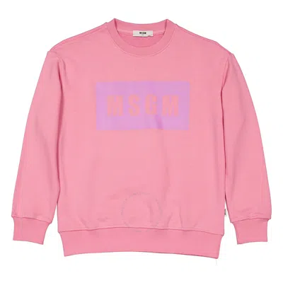 Msgm Girls Rosa Logo Stamp Pull Over Cotton Sweatshirt In Pink