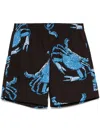 Msgm Graphic-print Shorts In Brown