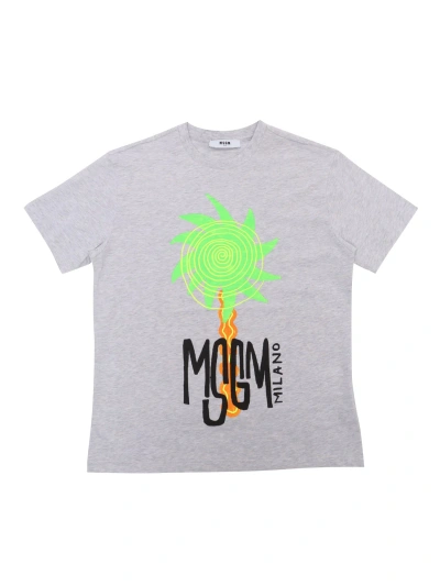 Msgm Kids' Gray T-shirt With Prints In Grey