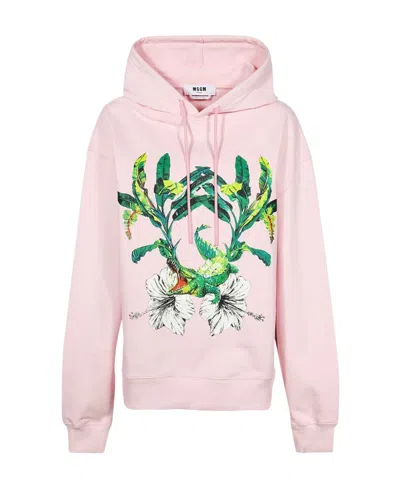 Msgm Hoodie In Pink
