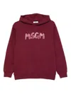 Msgm Hoodie With Print