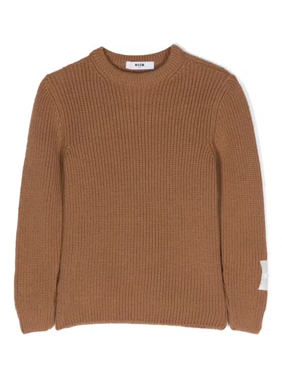MSGM INTARSIA-KNIT LOGO CREW-NECK JUMPER