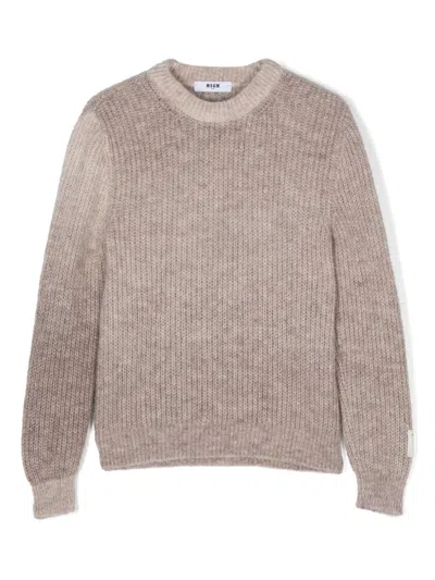 Msgm Kids' Intarsia-logo Sweater In 中性色