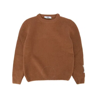 Msgm Kids Classic Logo Printed Sweatshirt In Brown