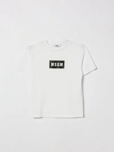 Msgm Kids Cotton Logo T-shirt In White