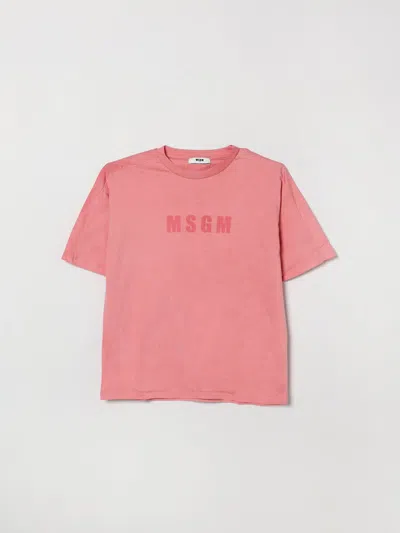Msgm Kids Cotton T-shirt With Logo In Pink