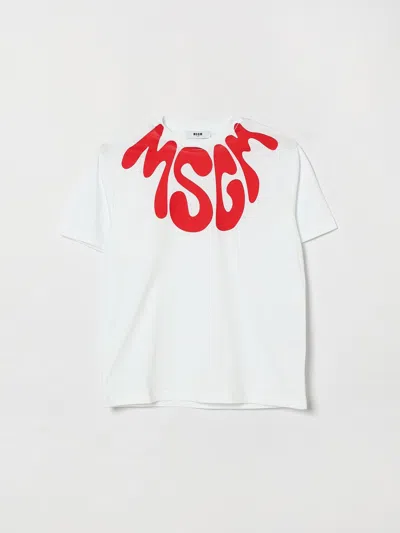 Msgm Kids Cotton T-shirt With Logo In White