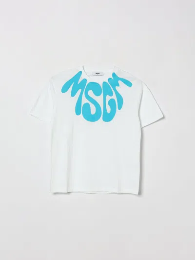 Msgm Kids Cotton T-shirt With Logo In White