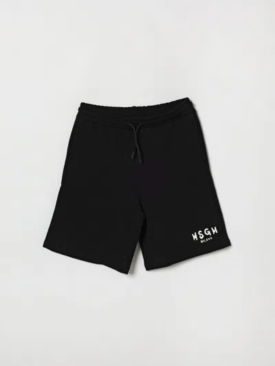 Msgm Kids Shorts Kids Color Black