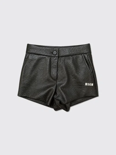 Msgm Kids Shorts Kids Color Brown In Black