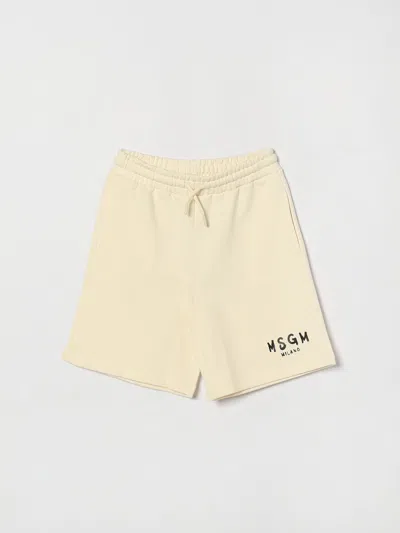 Msgm Kids Shorts Kids Color Cream In Neutral