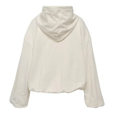 Msgm Kitten Sweatshirt In Neutral
