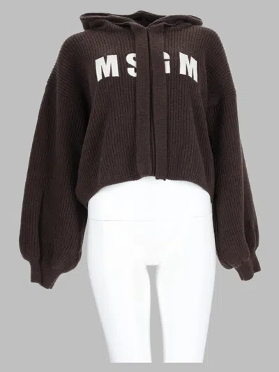 Msgm Knit Sweater In Brown