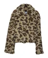 Msgm Leopard-print Jacket In Multi