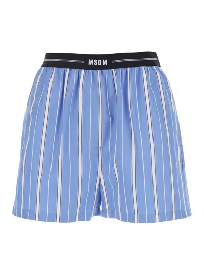 Msgm Light Blue Striped Bermuda Shorts